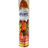 Wizard Aerosol Air Freshner Spray Autumn Breeze - 10oz/12pk